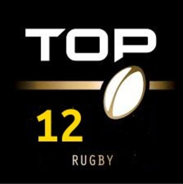Logo top 12